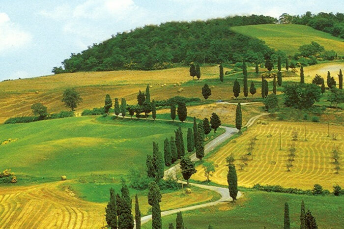 Le colline toscane